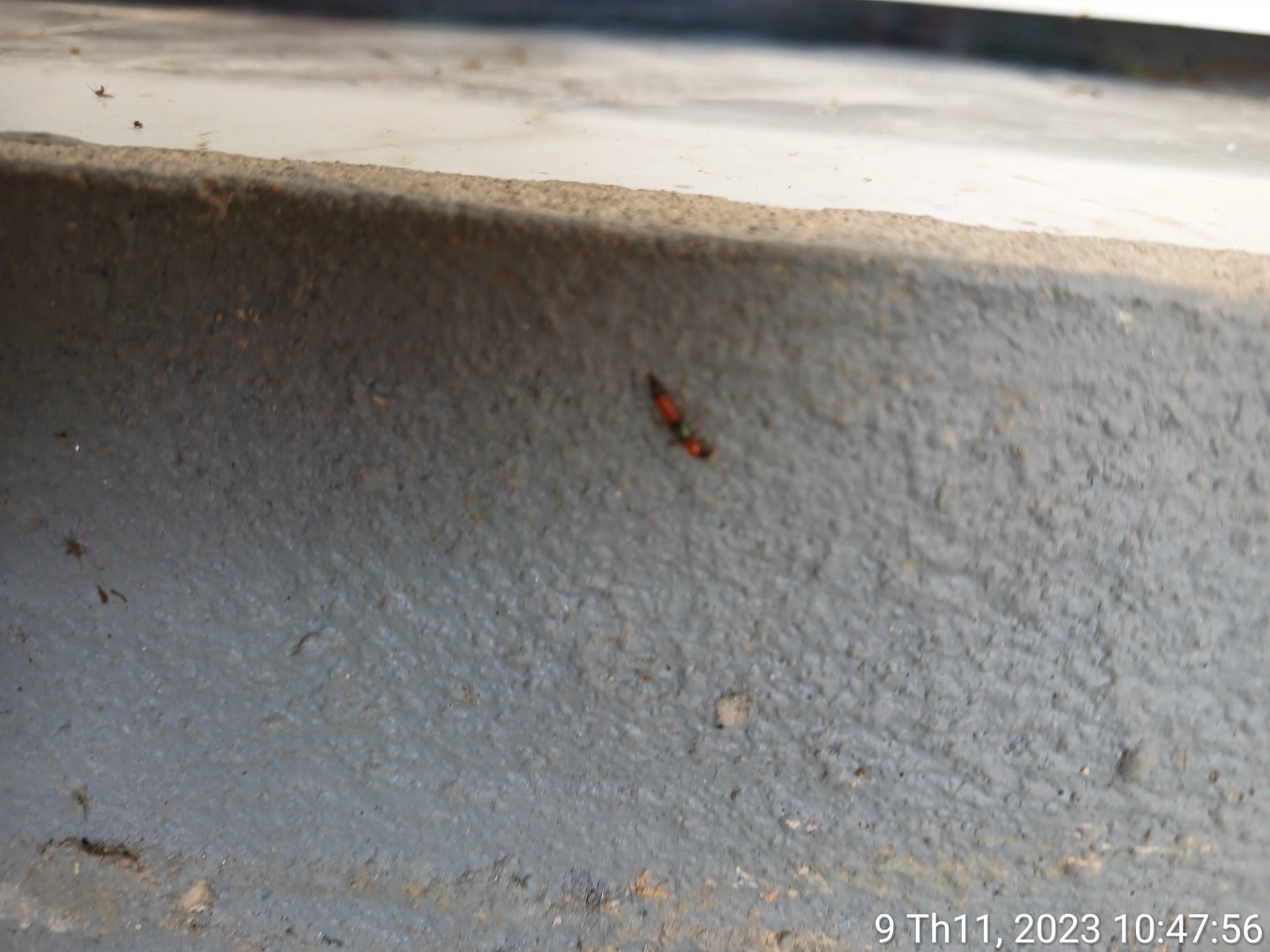 102275-6eb330898946.jpg