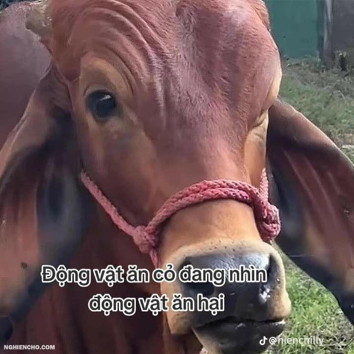 106814-021543f66e4c.jpeg