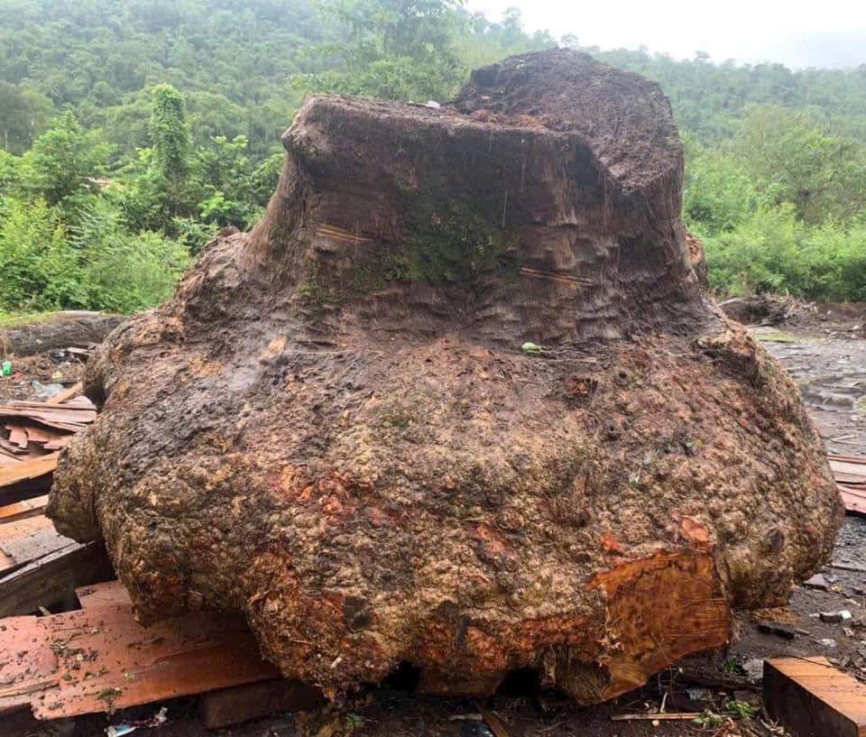 119532-e0467361a812.jpg
