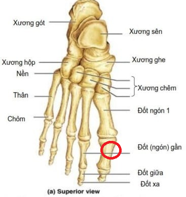 12857-eb98a232bef0.png