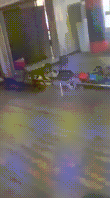 122829-81d069a784a8.gif