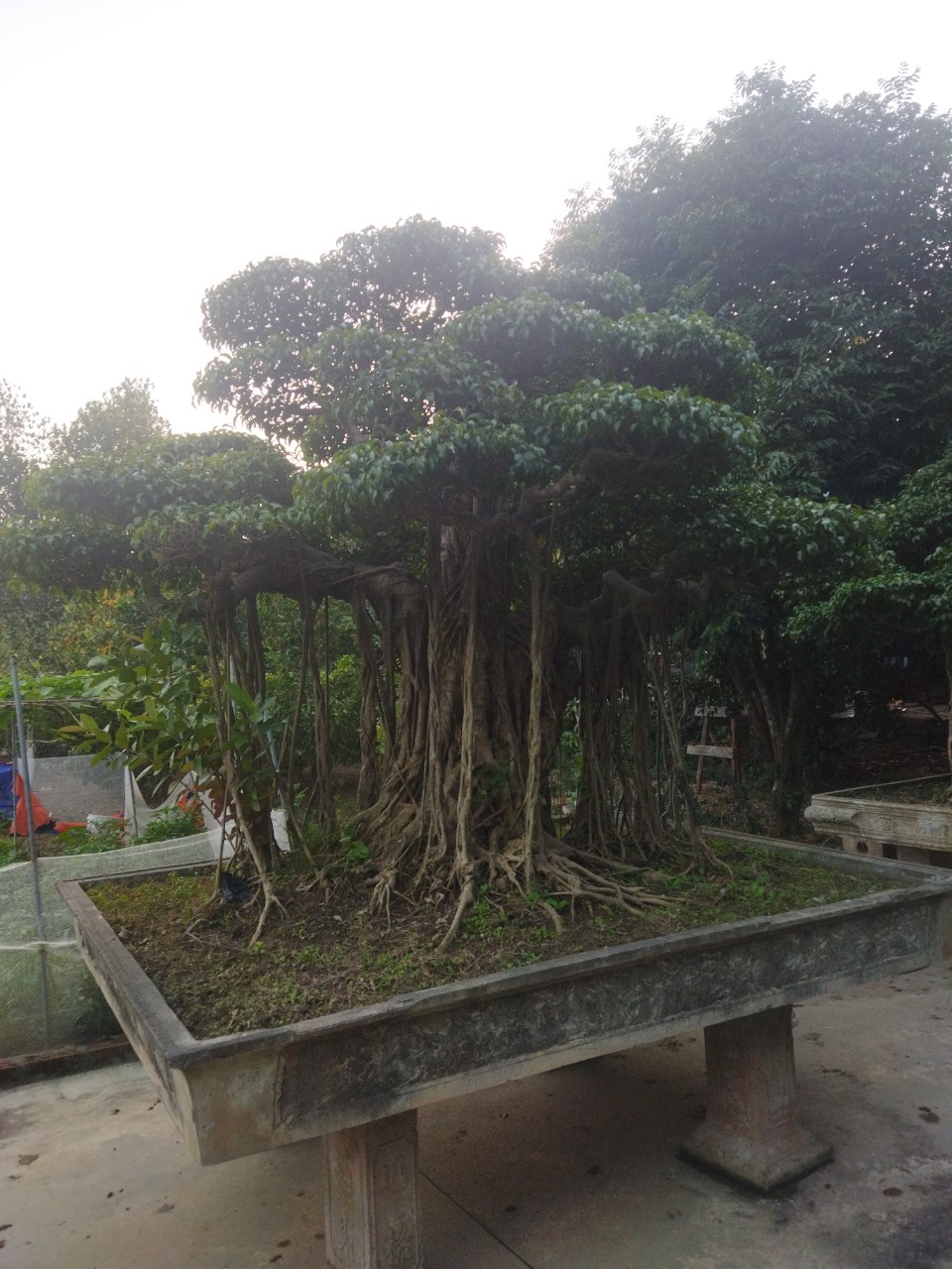123701-ac5f8542400a.jpg