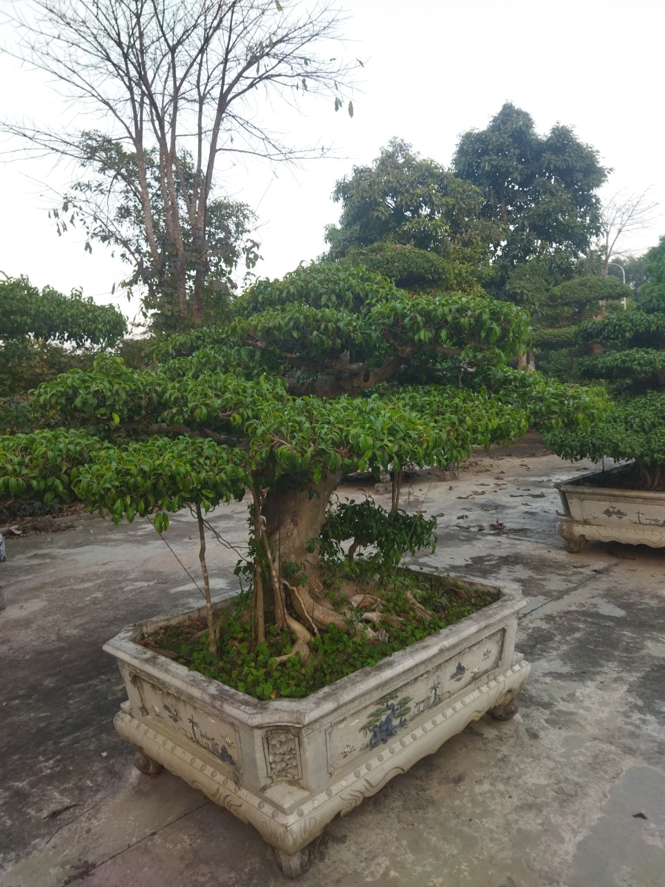 123708-bcd141feab9f.jpg