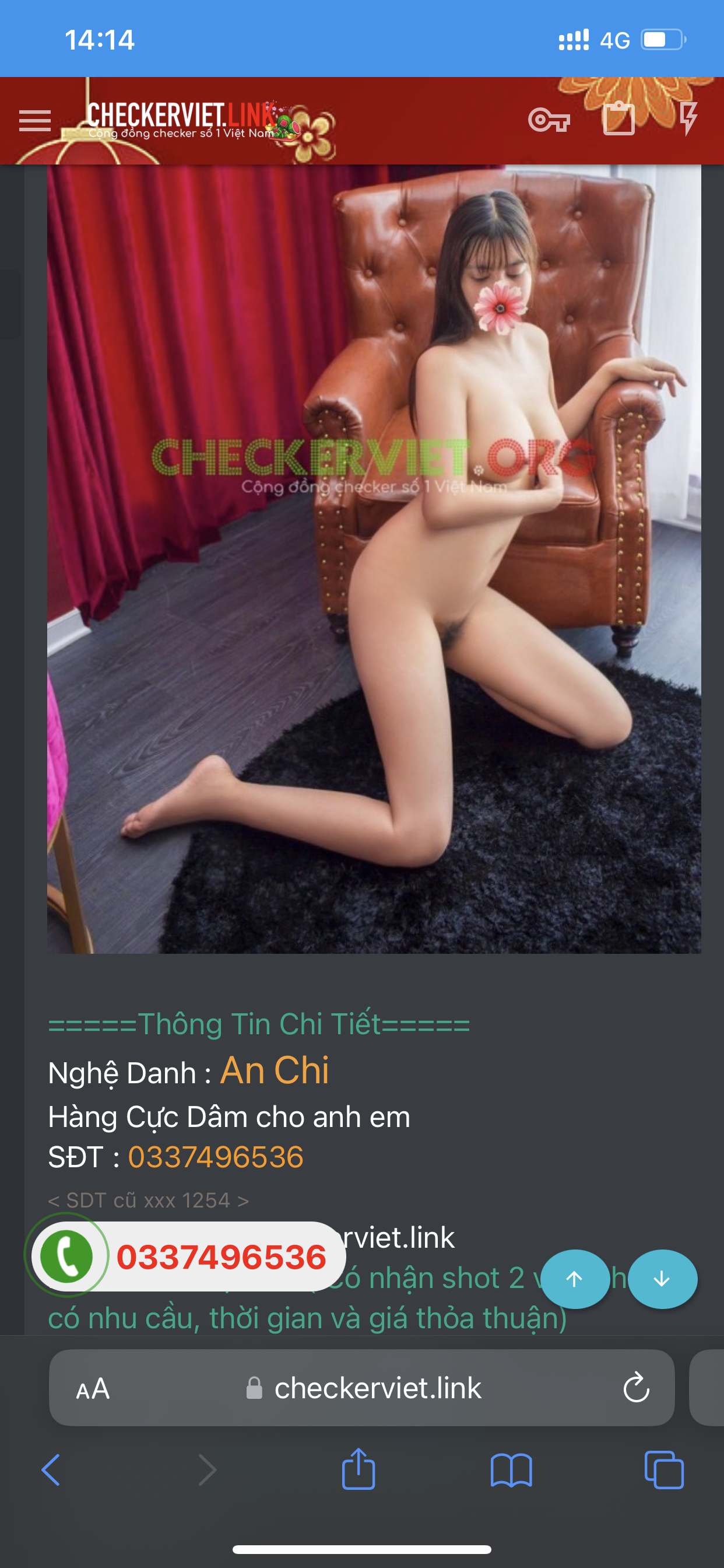 138323-c95204465aa2.png