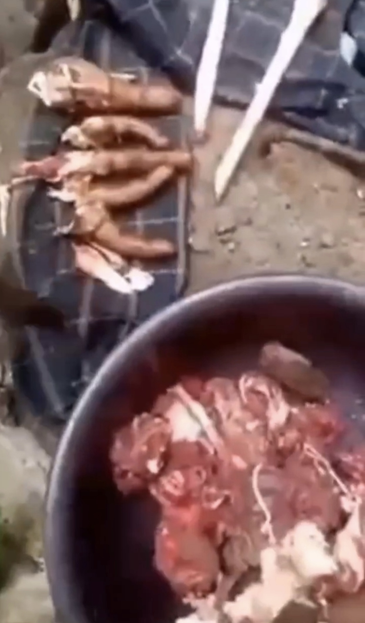 139685-5b644fbdcf85.jpeg