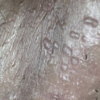 14371-0d93677a6849.jpeg