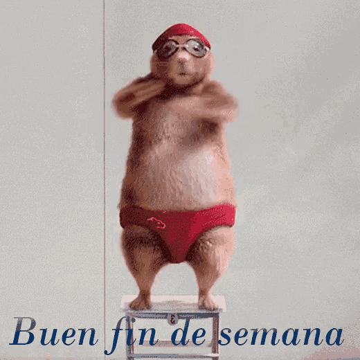 151309-6f6ad18f5972.gif