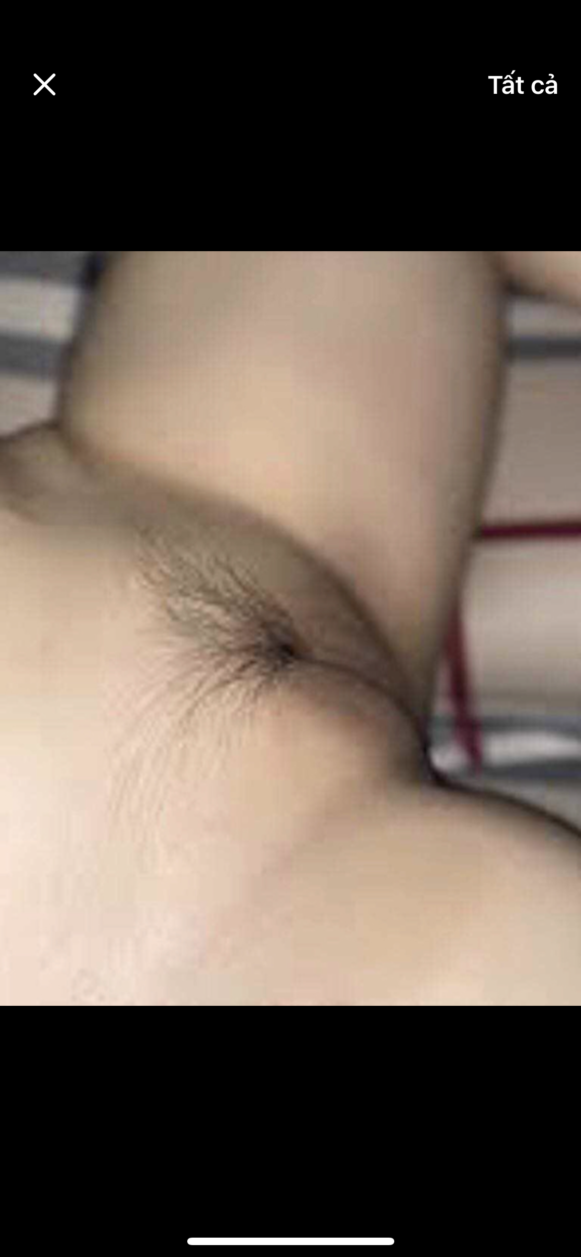 152675-c9273e815c77.png