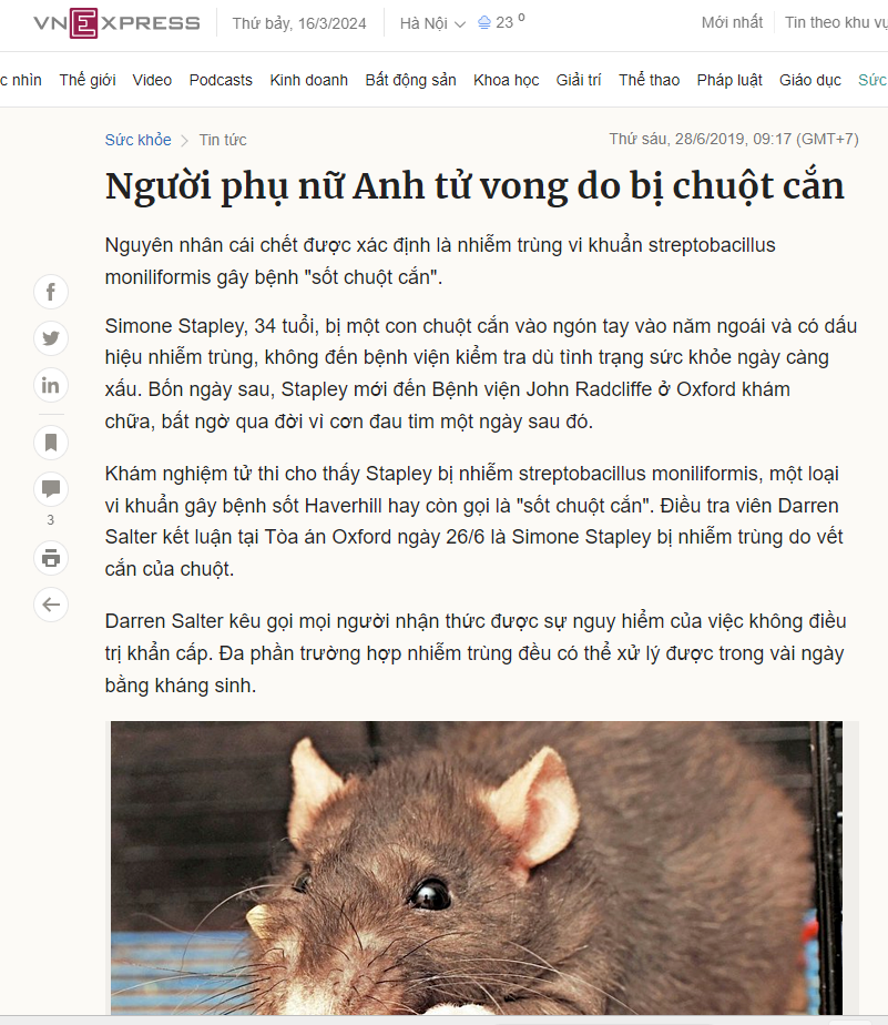 152895-6b49bf4a4206.png