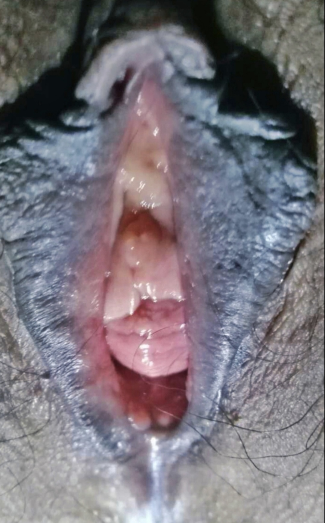 155021-06bbcea38a8f.jpeg