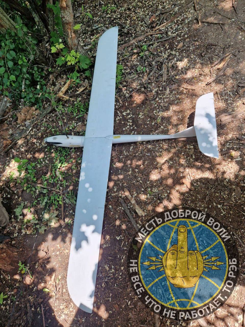 16982-689da1deeeca.jpg