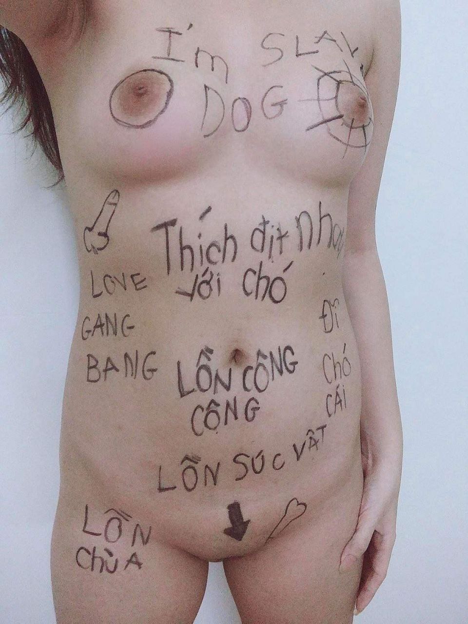 163580-12621290283d.jpg