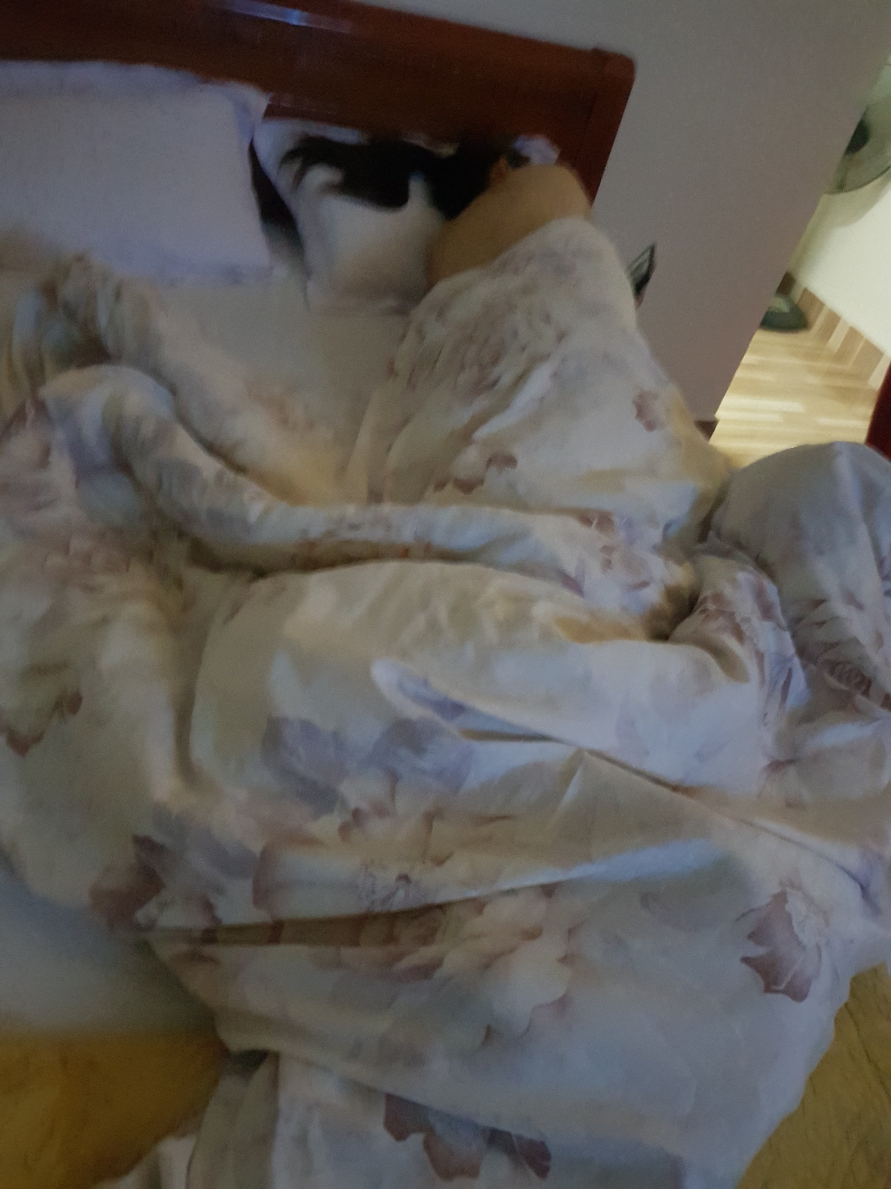167950-4eee48758a02.jpeg