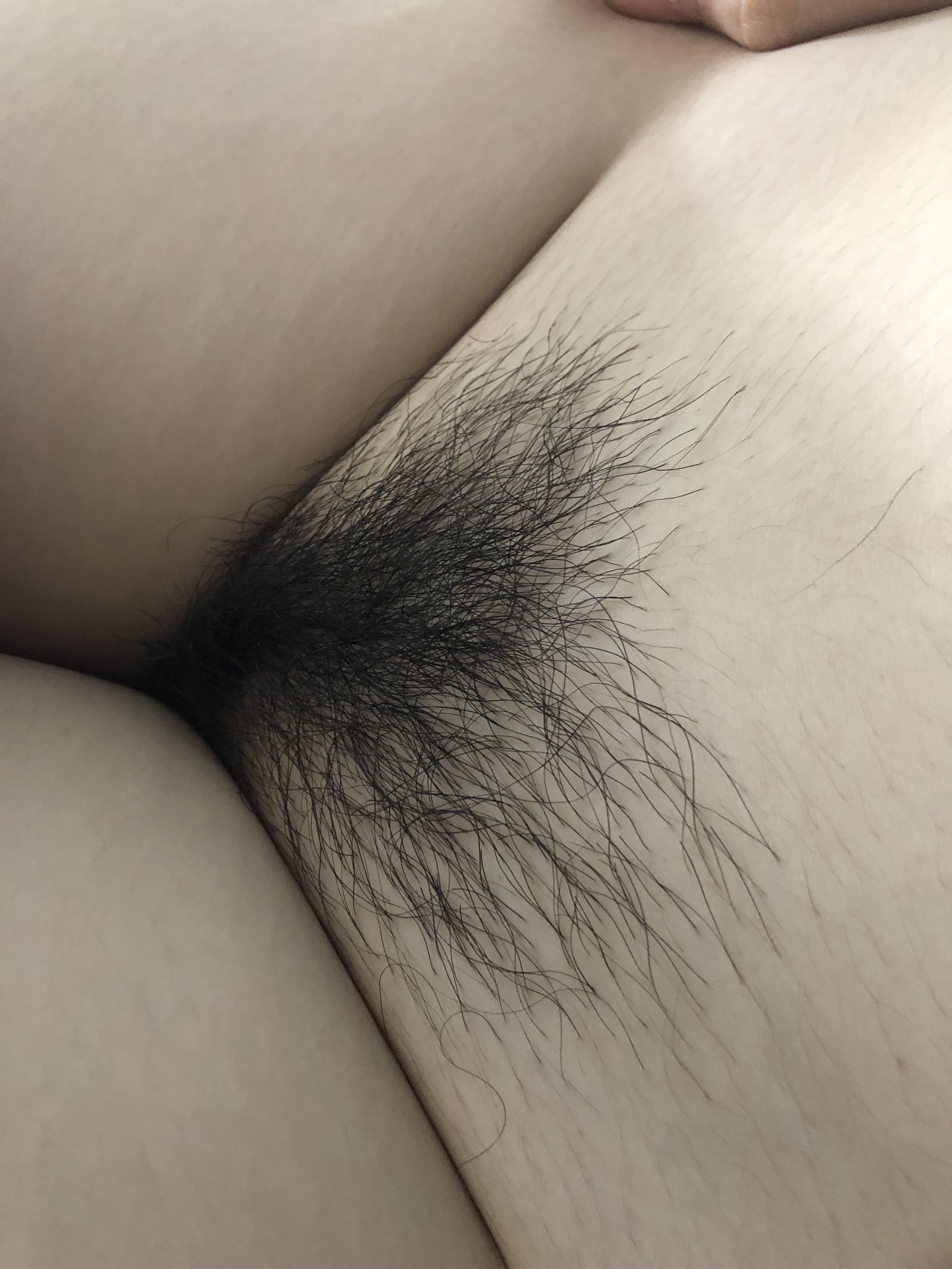 170543-2485db536cd7.jpeg
