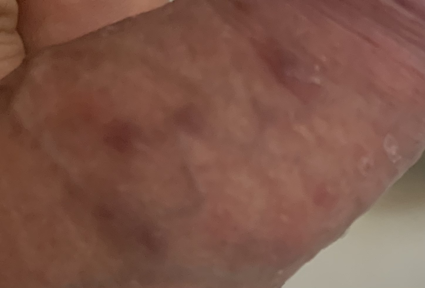 171267-cbc01b145647.jpeg