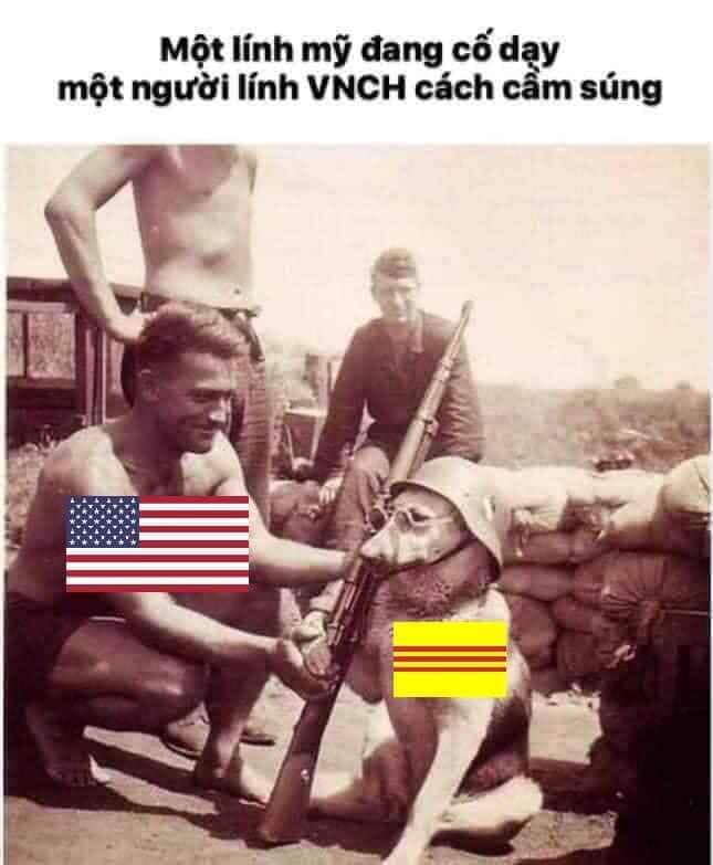 173793-55cbda7c0279.jpeg