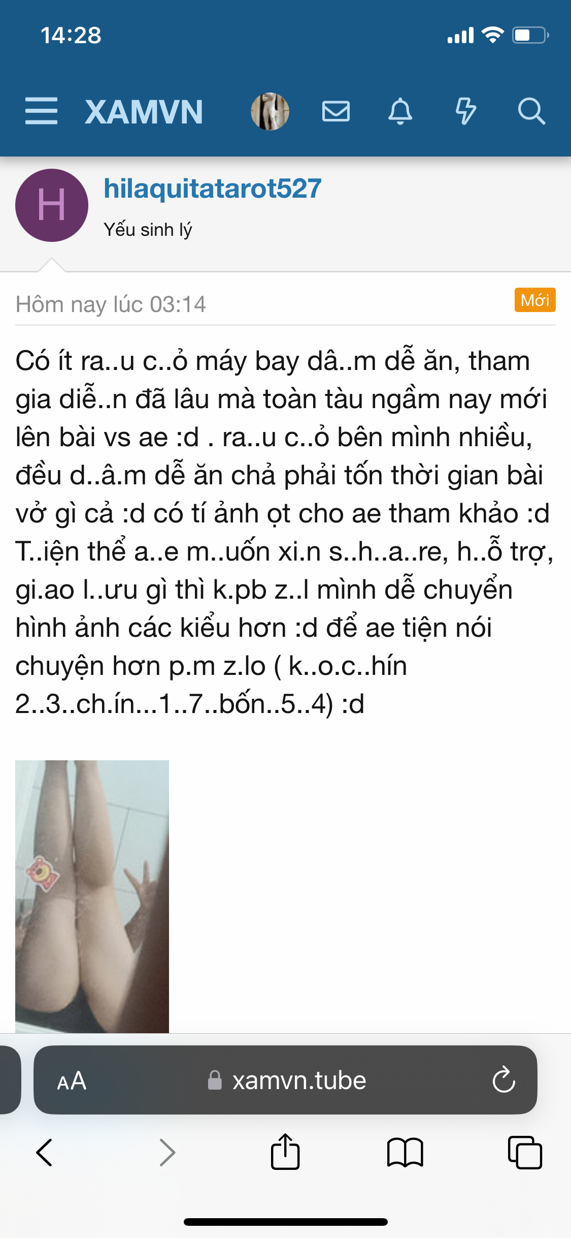 178410-0b68925f041c.png