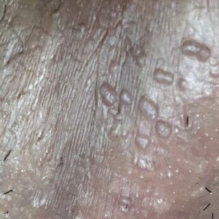 20794-0e583de129ea.jpeg