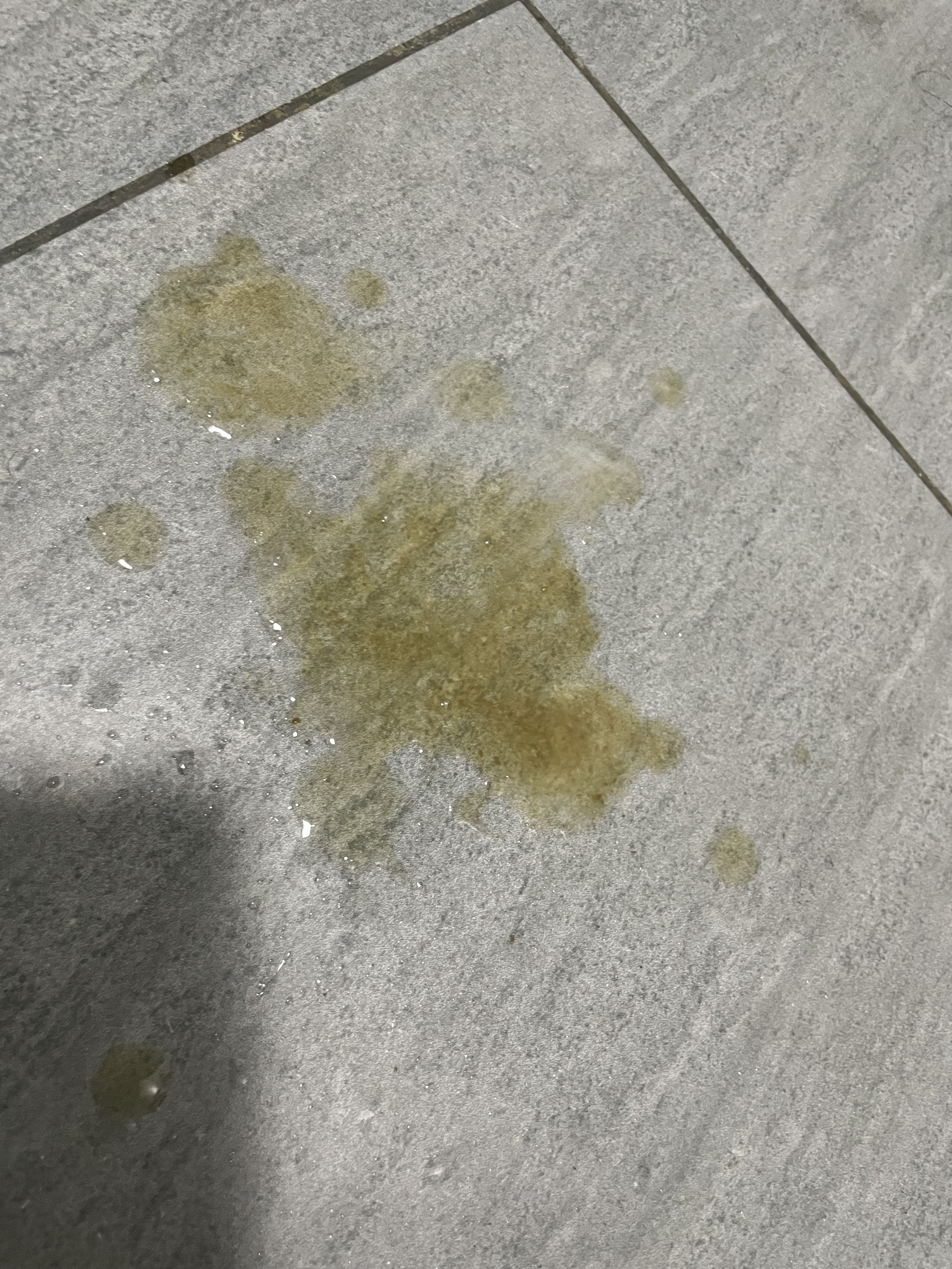 210560-828ef9b582fa.jpeg