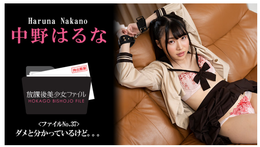 211678-d2b7f53744da.png