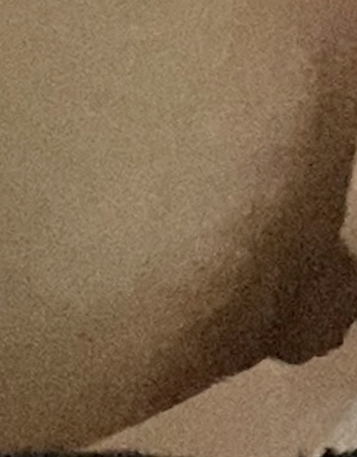 213633-6e494c859229.jpeg