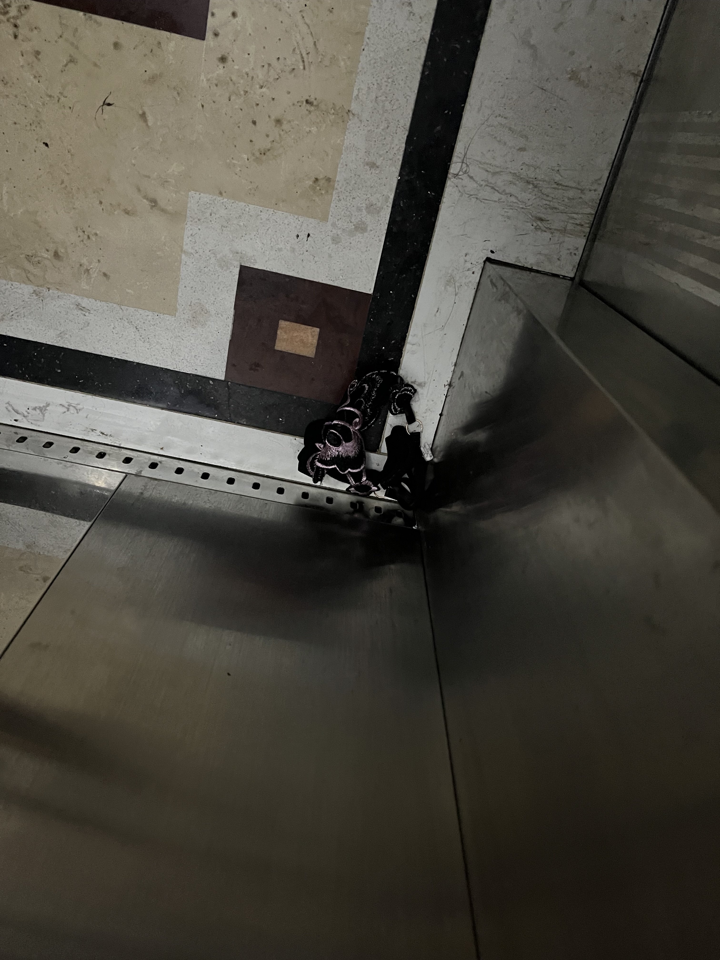 220681-1cdcbcb63813.jpeg