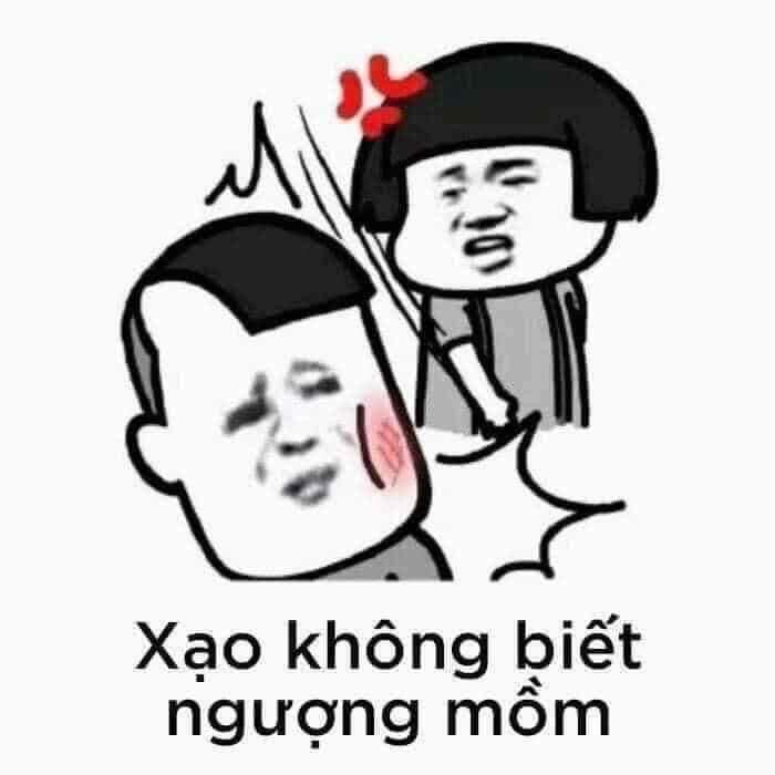 223926-0b9dabdb5151.jpg
