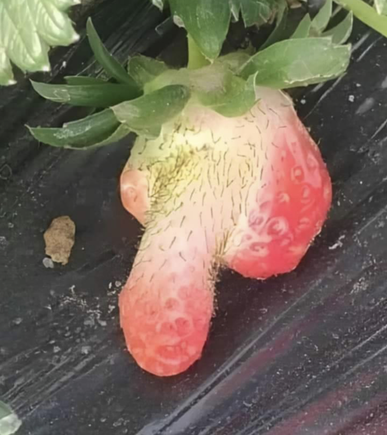 224147-d98c55e30b17.jpeg