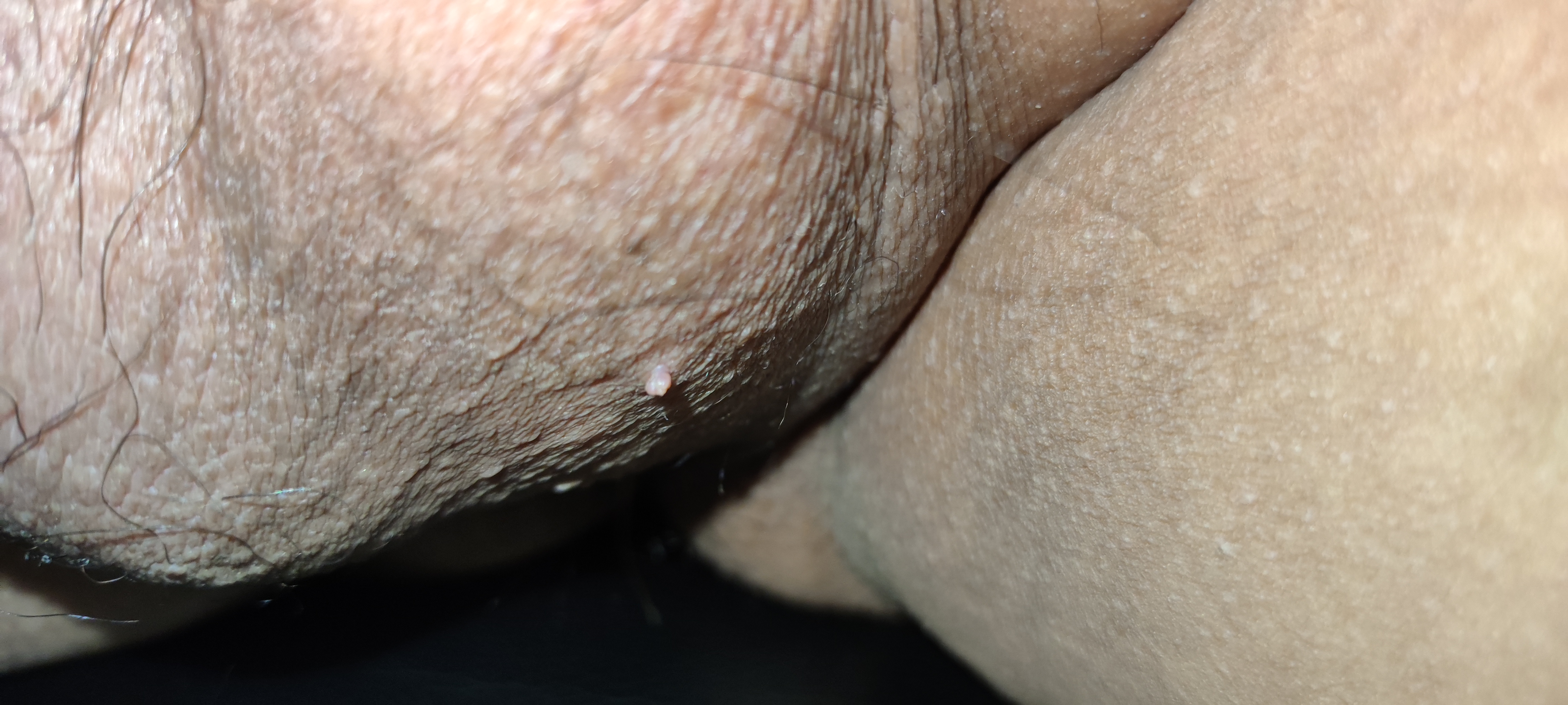 226961-f978ddd12433.jpg