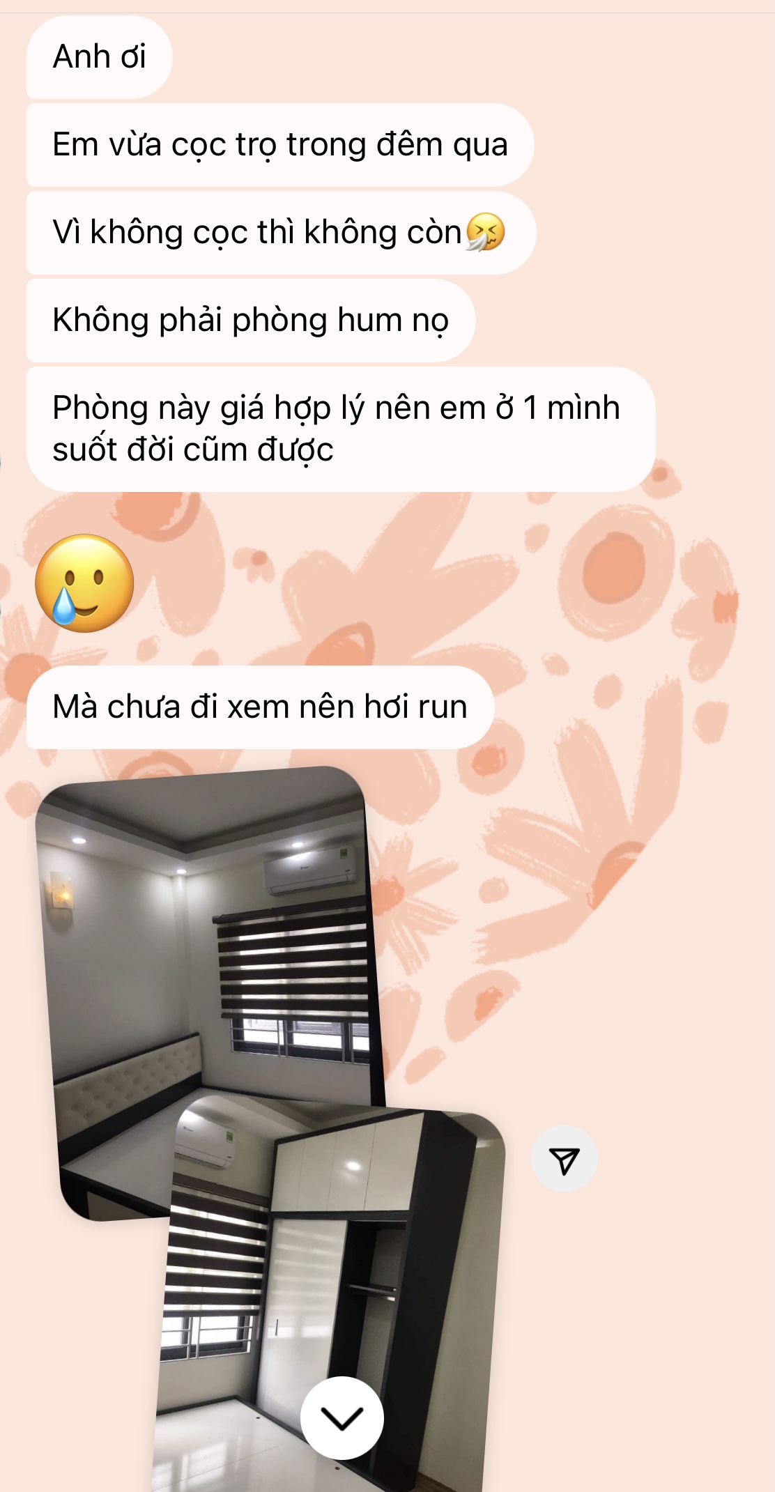 23241-352c8121194a.jpeg