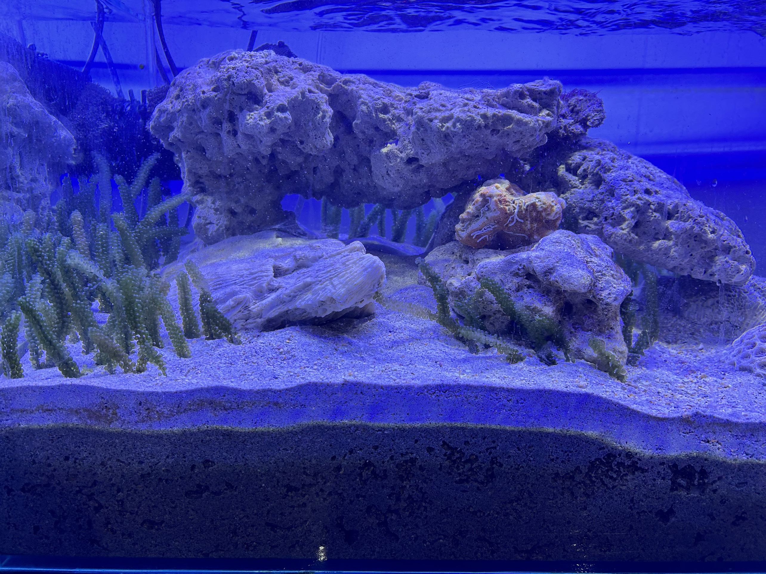 231501-e8fbf73329f1.jpg