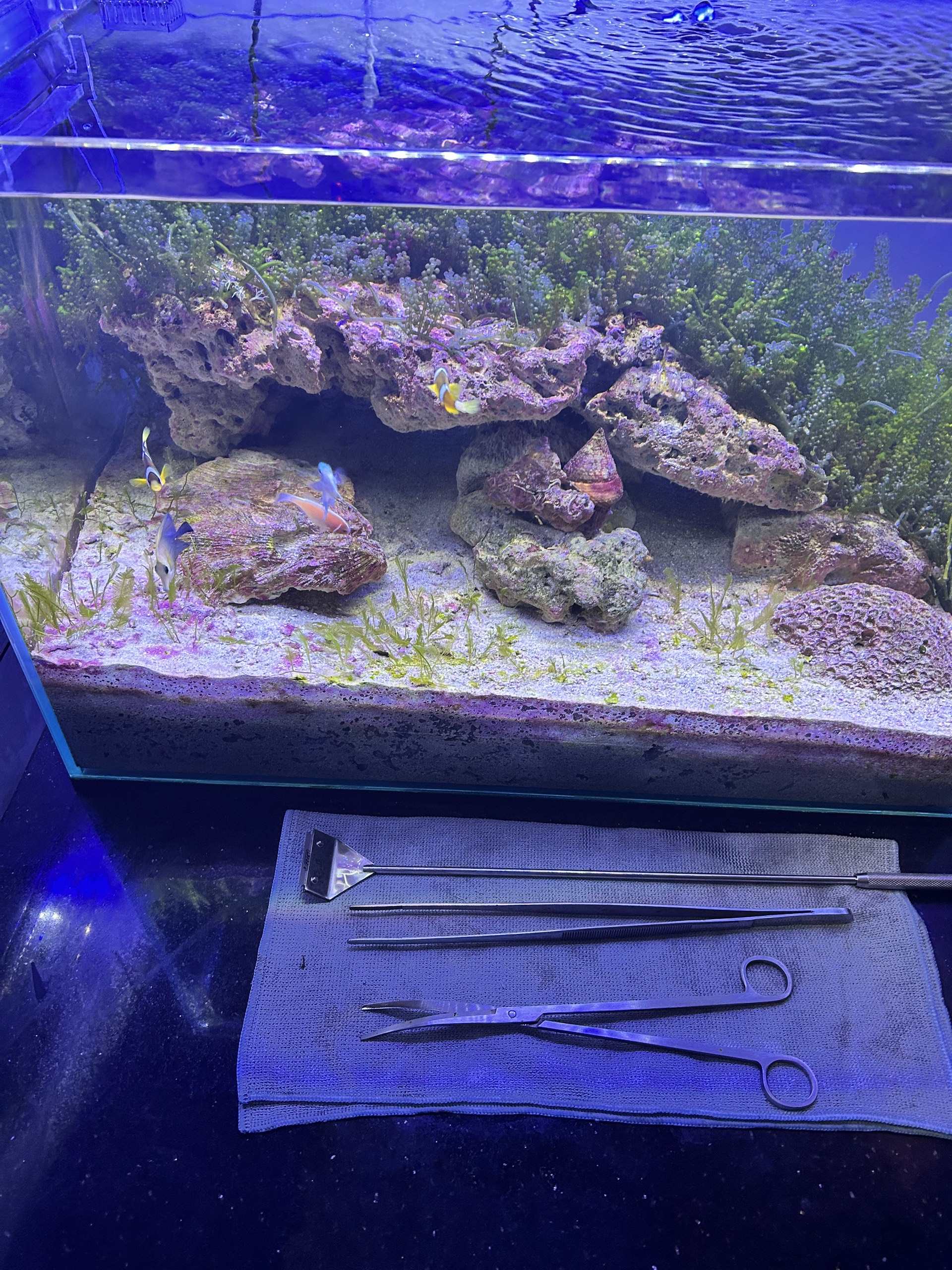 231509-46b8638d5cf7.jpg