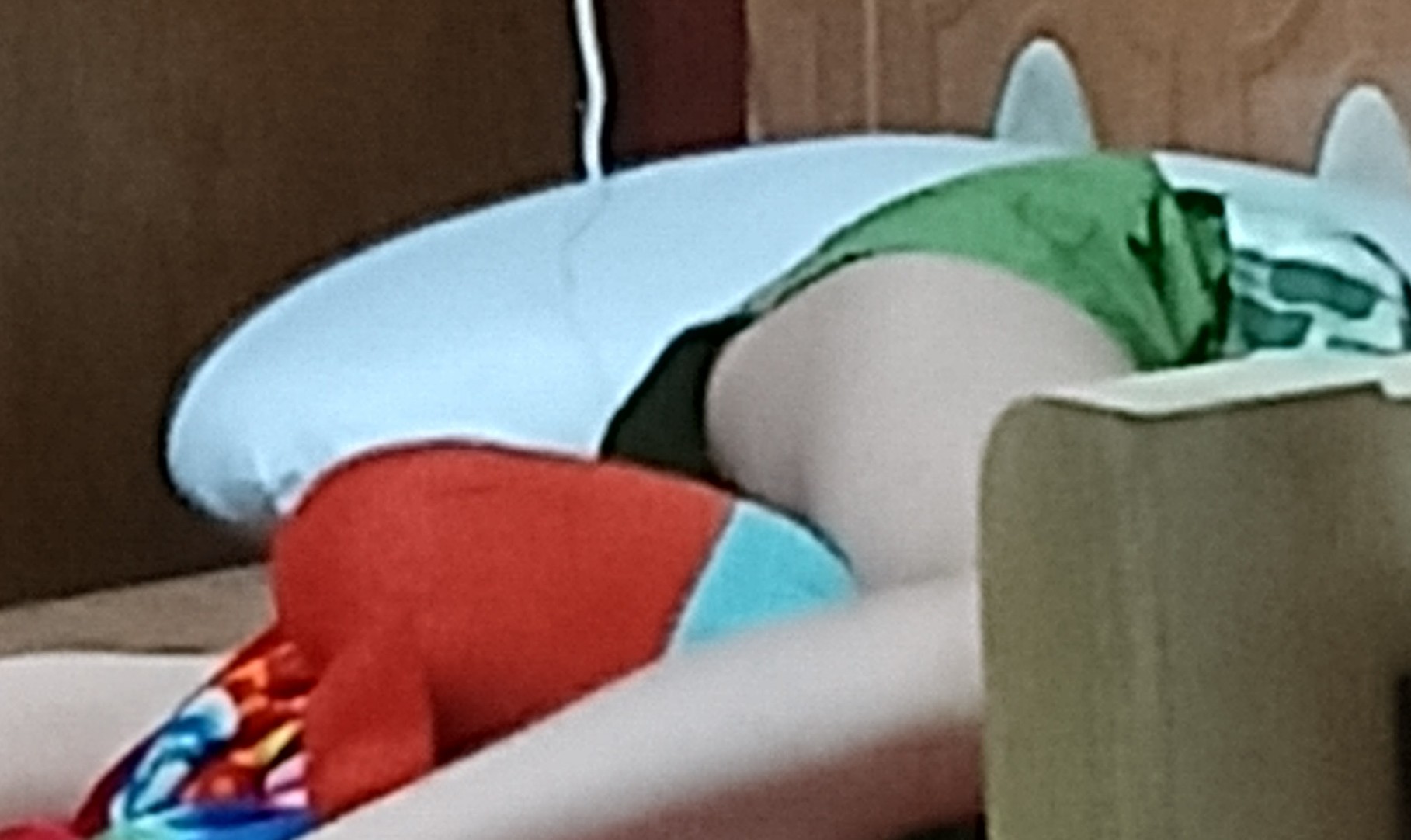 232033-1a1e890c4c7c.jpg