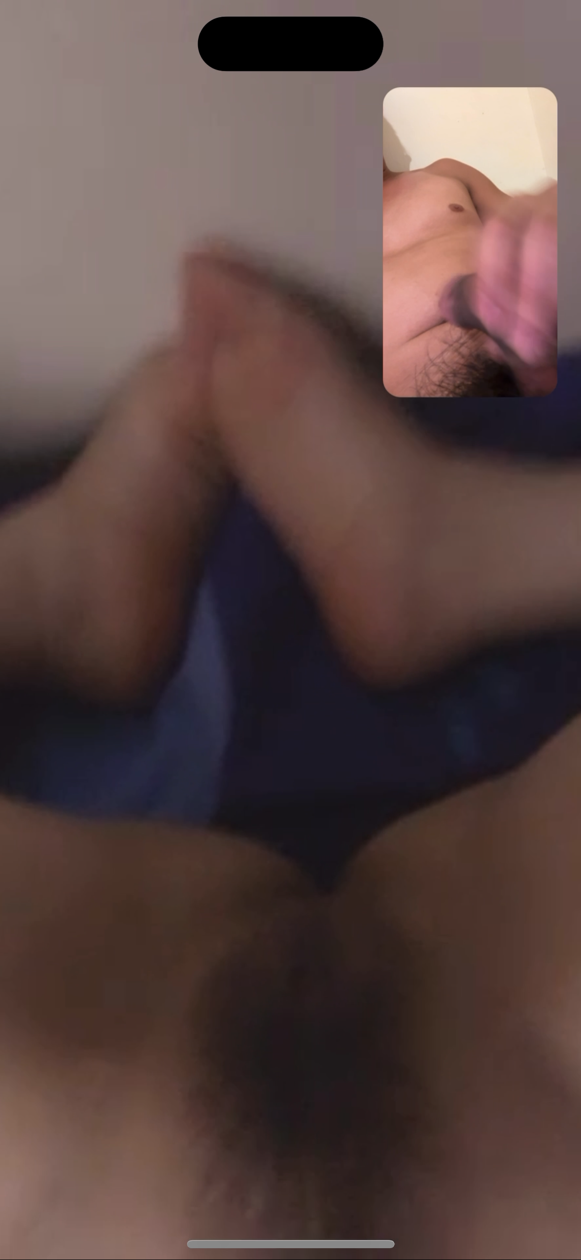 233083-0721d264ad21.png