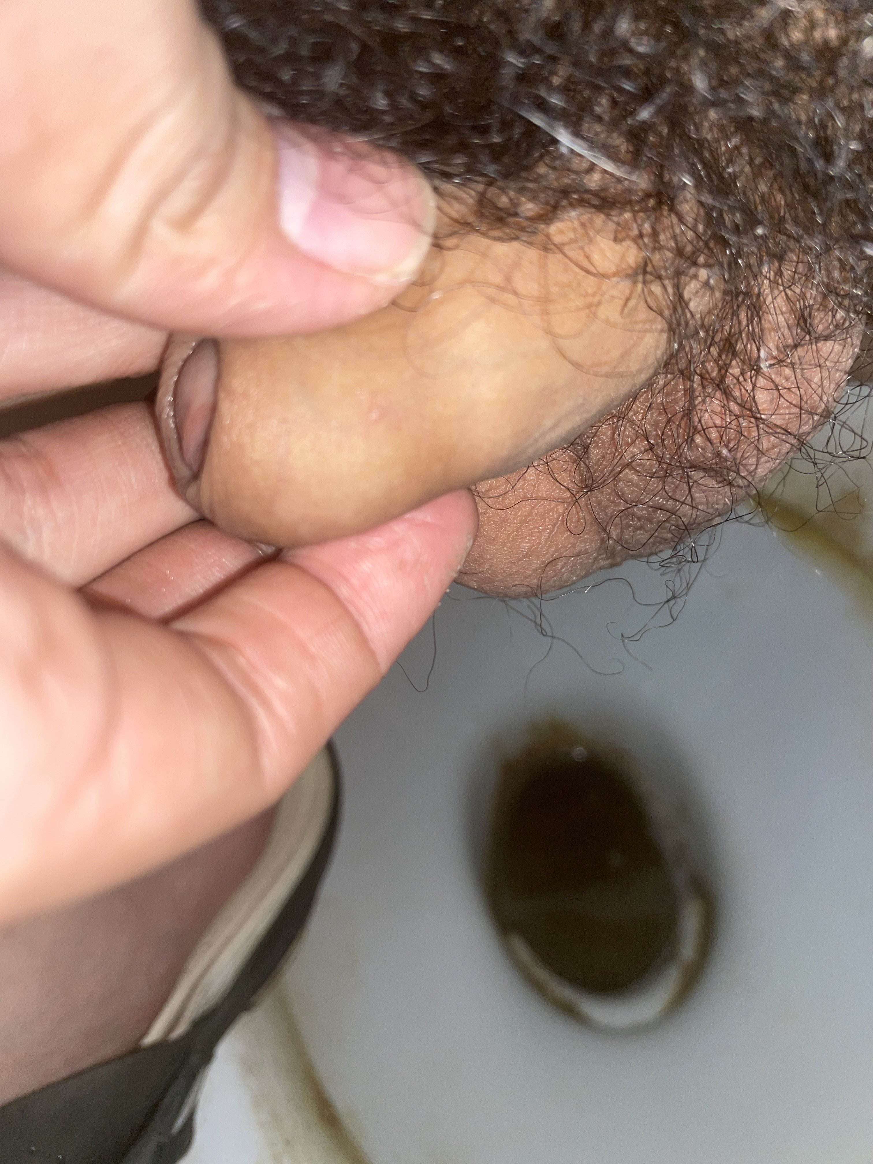 234709-c19f61d33d31.jpeg