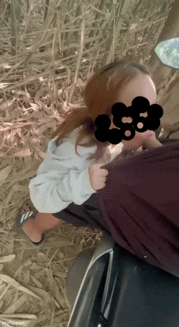 236590-d96ef0abac7a.gif
