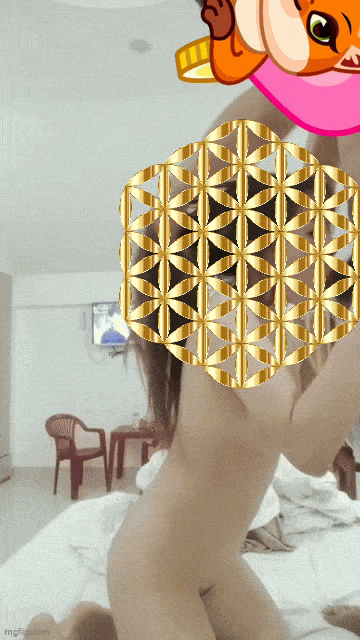 236808-1babf93da31e.gif