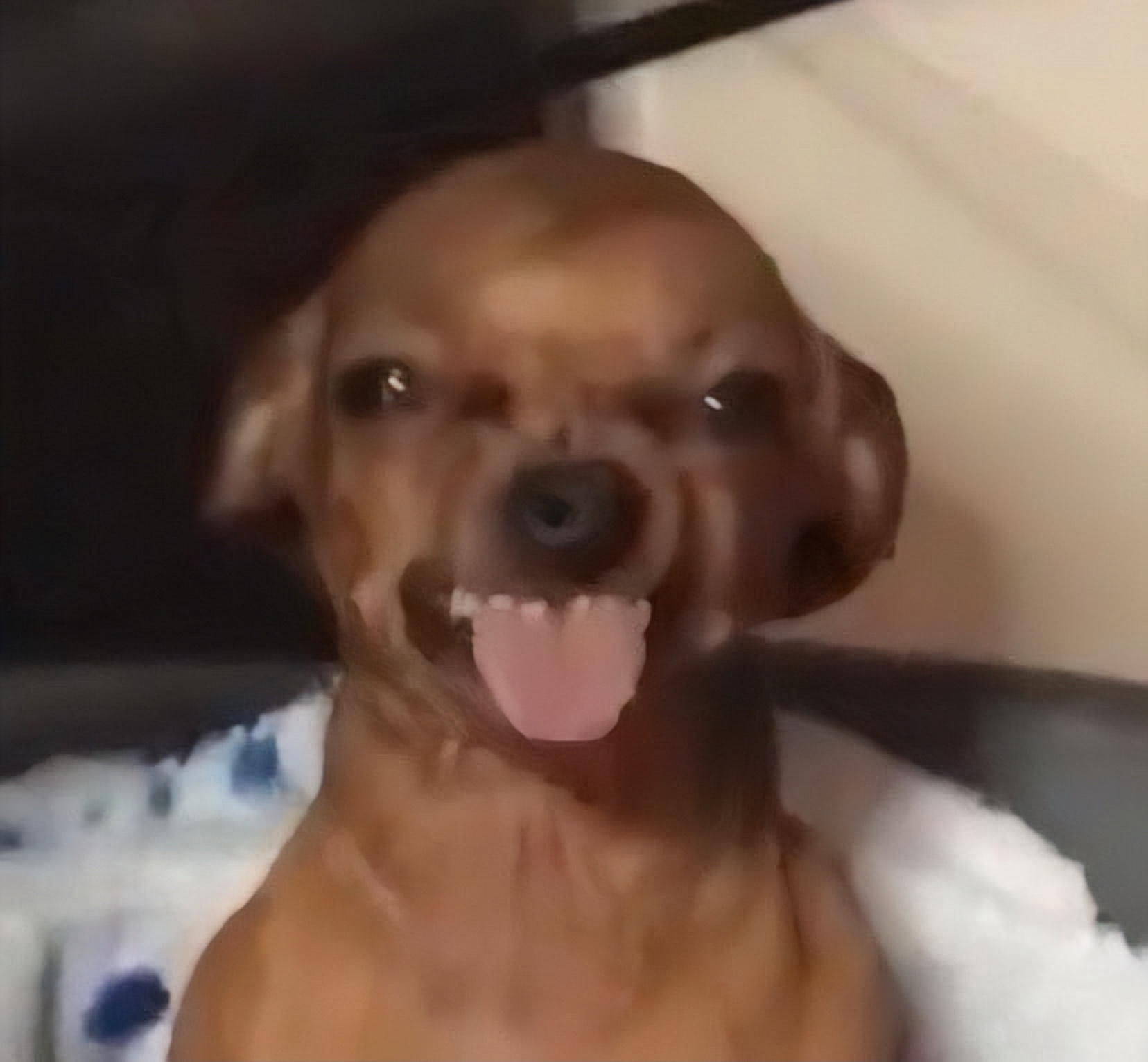 237344-73206a0c2a3b.jpeg