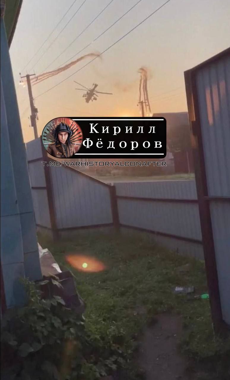 24775-8405681d3edf.jpg