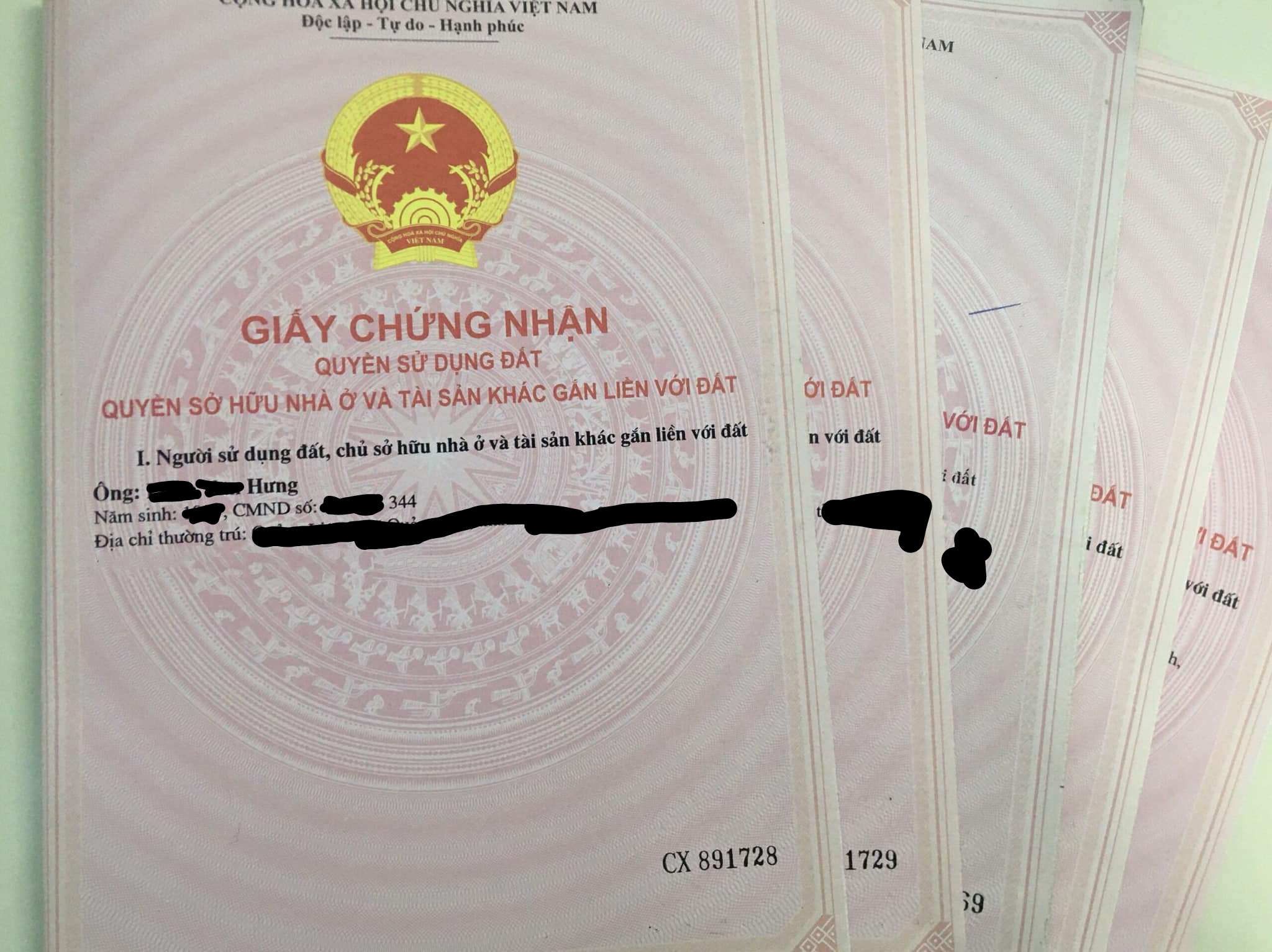 242263-dd01317352c0.jpg