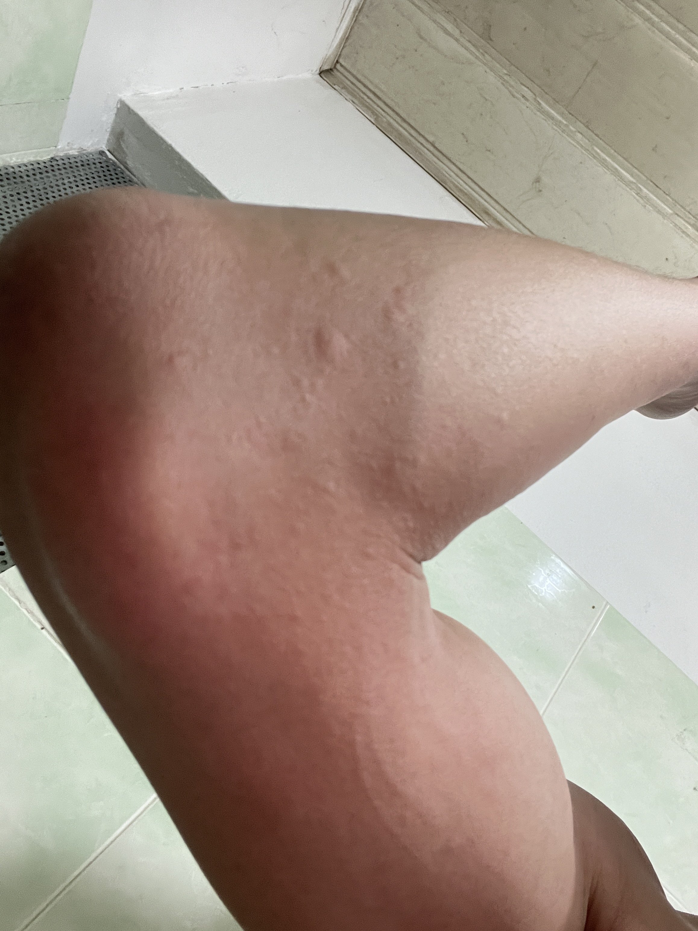 242627-e23736fe01e6.jpeg