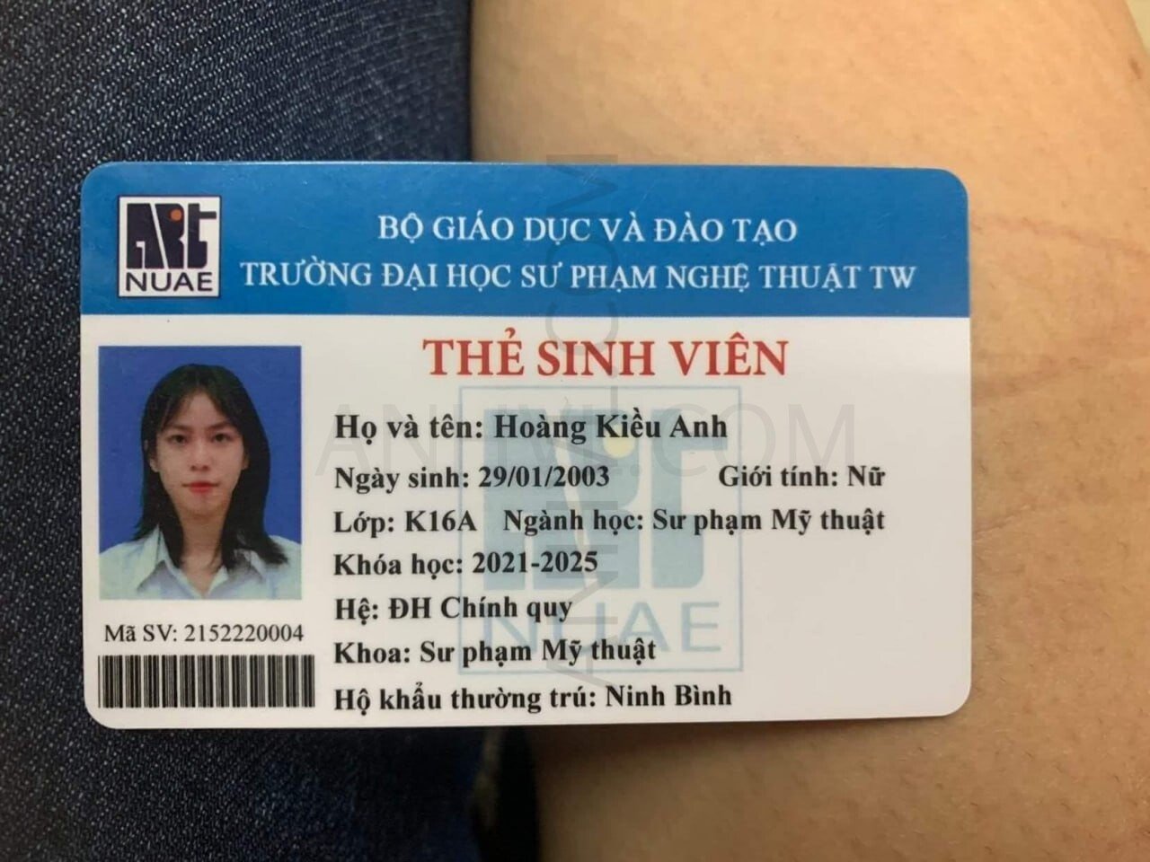 244494-975504519324.jpg