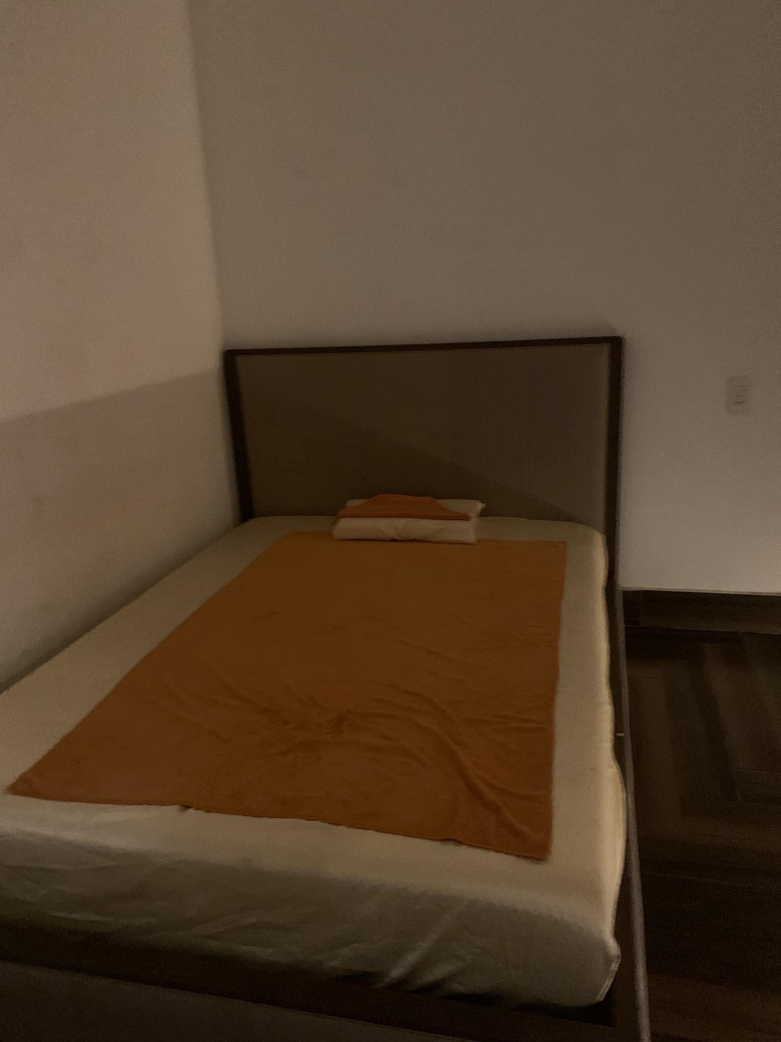 244833-cb5cc3befdf2.jpeg