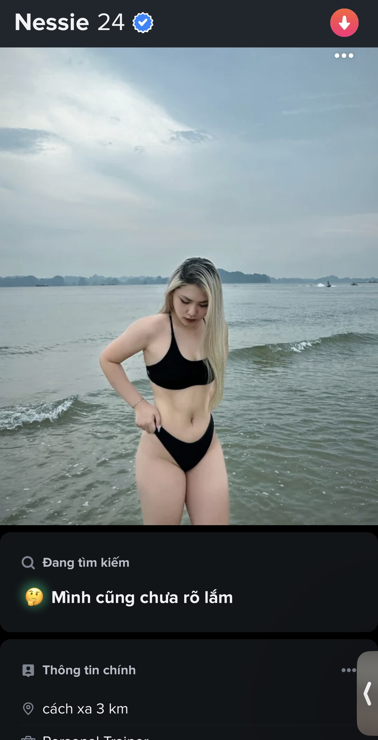 252607-ea333b753605.jpeg