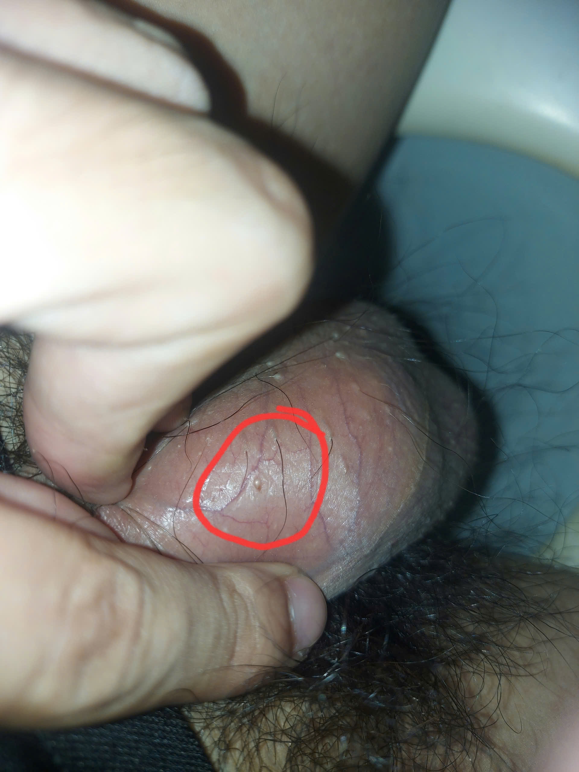 256876-df41185a5d8a.jpg