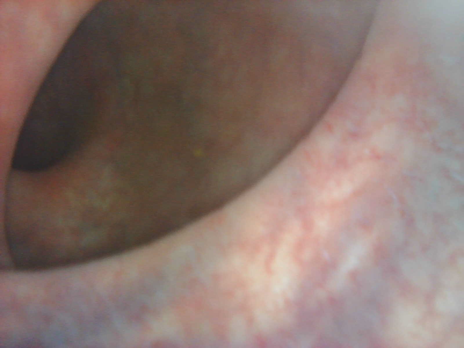 262501-5c789421d396.jpg
