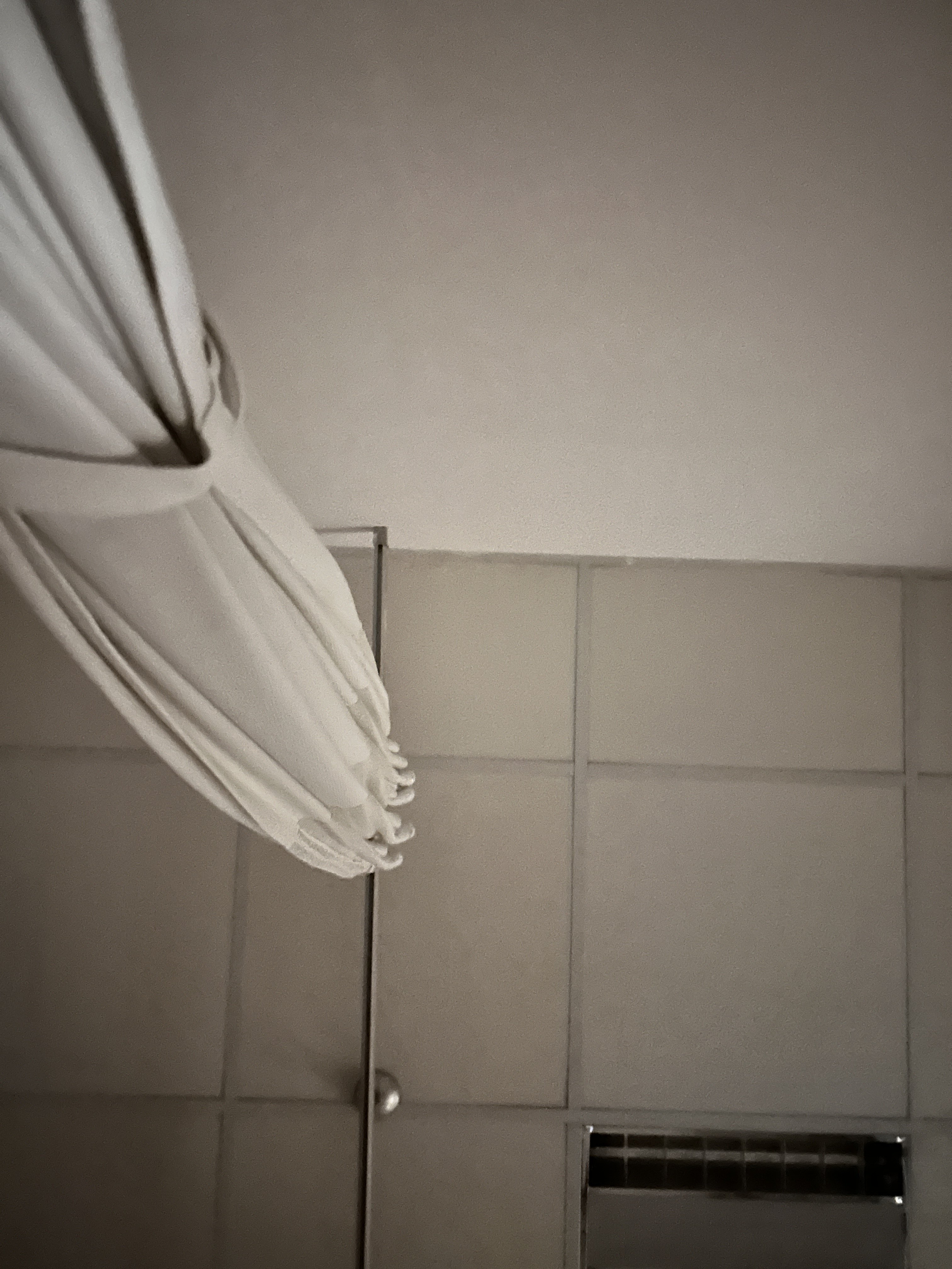 263791-9d14bed0acf2.jpeg