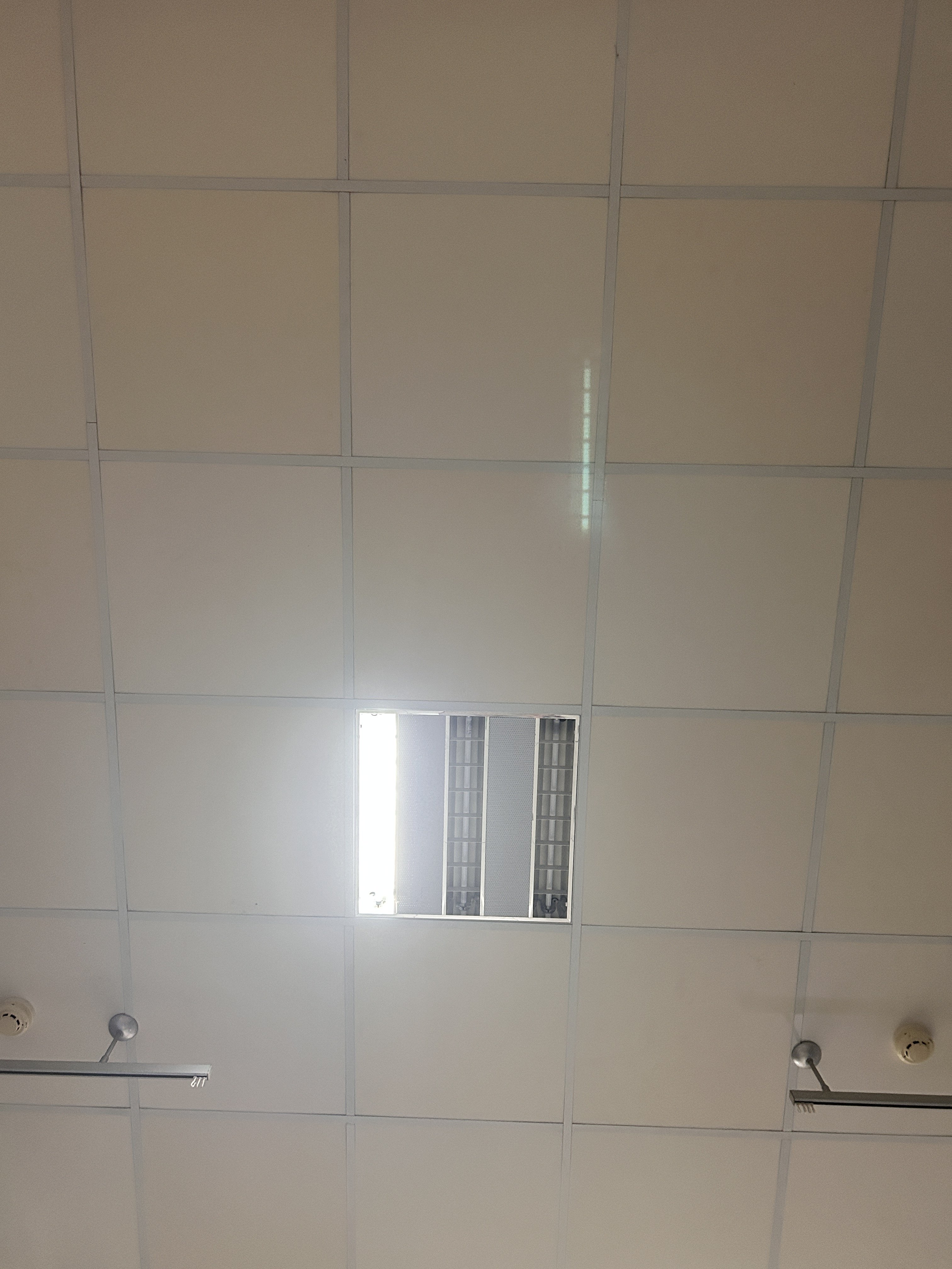 264868-7f624ad3d2cc.jpeg