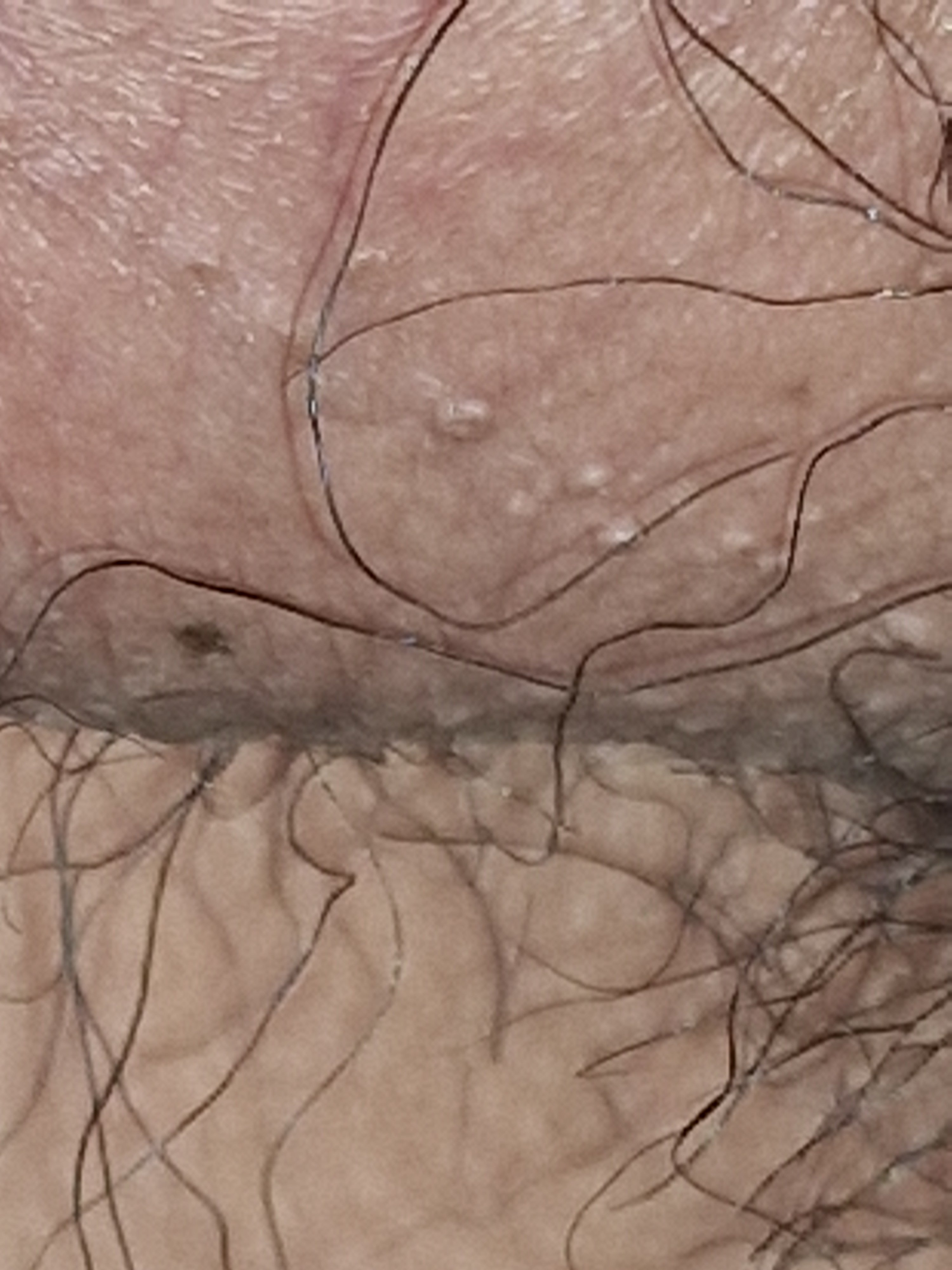 266300-eb369250d087.jpg
