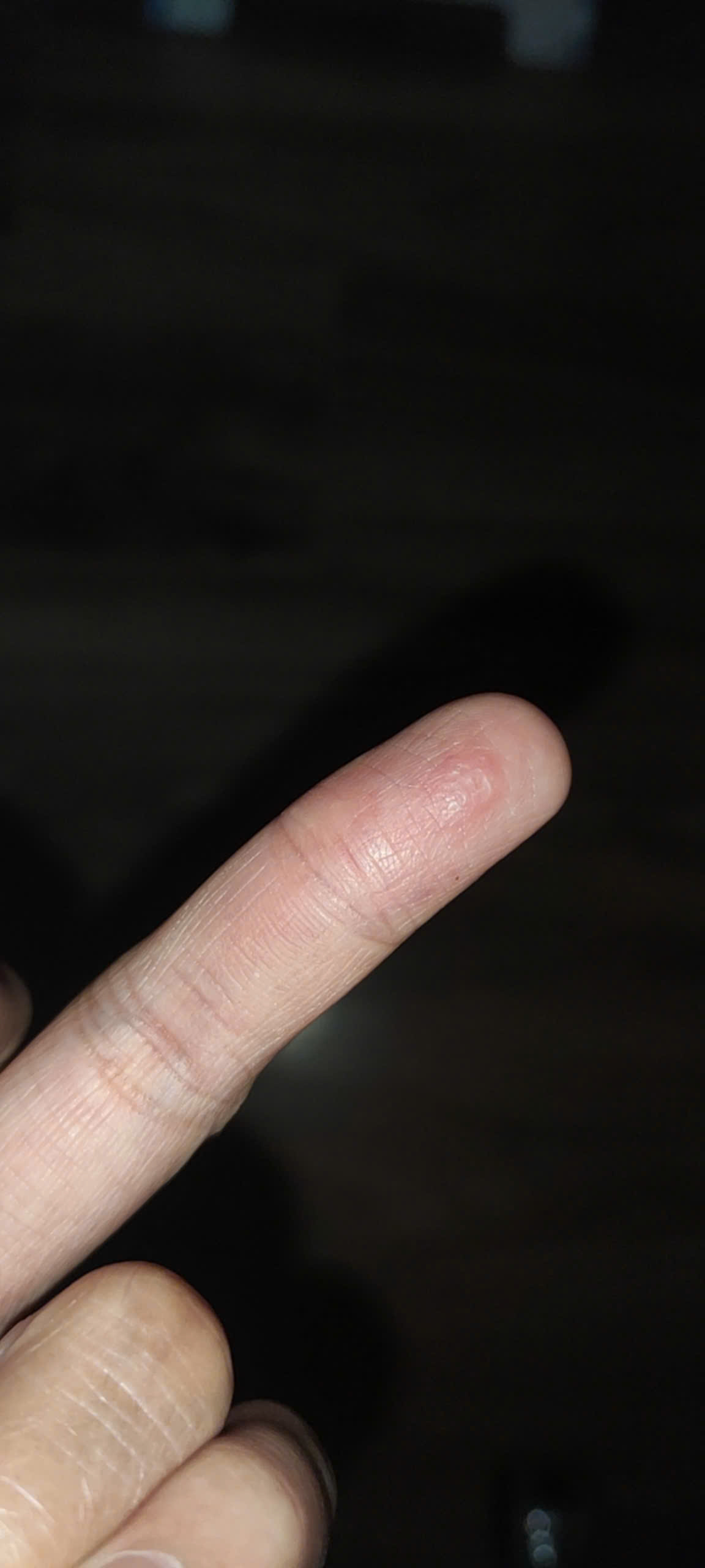 266972-f655c5213721.png
